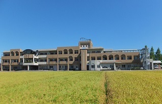 402710651