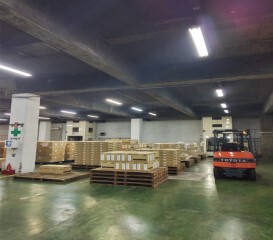 403423234