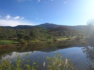 409094815