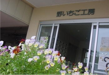 7098196